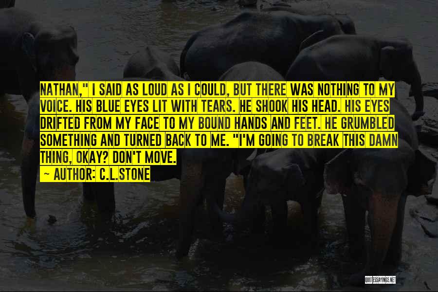 C.L.Stone Quotes: Nathan, I Said As Loud As I Could, But There Was Nothing To My Voice. His Blue Eyes Lit With