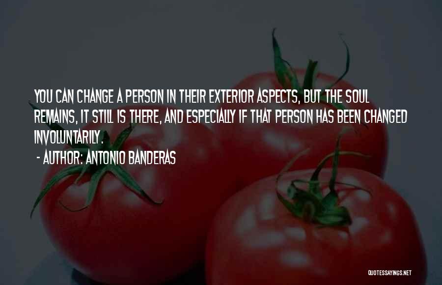 Antonio Banderas Quotes: You Can Change A Person In Their Exterior Aspects, But The Soul Remains, It Still Is There, And Especially If