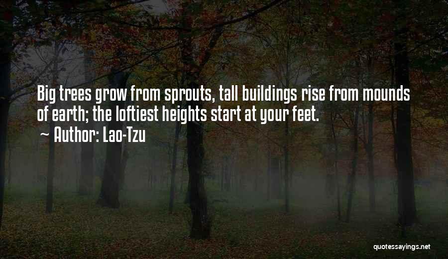 Lao-Tzu Quotes: Big Trees Grow From Sprouts, Tall Buildings Rise From Mounds Of Earth; The Loftiest Heights Start At Your Feet.