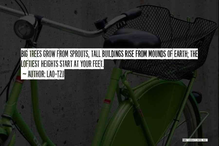 Lao-Tzu Quotes: Big Trees Grow From Sprouts, Tall Buildings Rise From Mounds Of Earth; The Loftiest Heights Start At Your Feet.