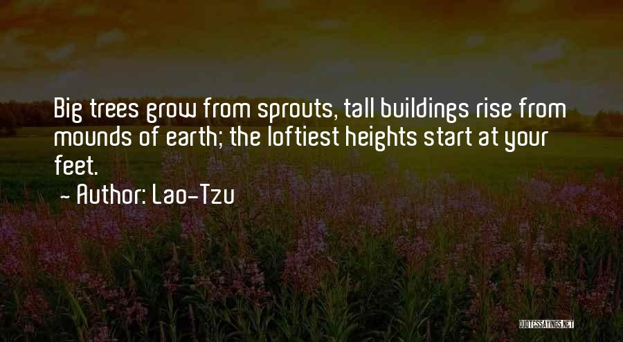 Lao-Tzu Quotes: Big Trees Grow From Sprouts, Tall Buildings Rise From Mounds Of Earth; The Loftiest Heights Start At Your Feet.