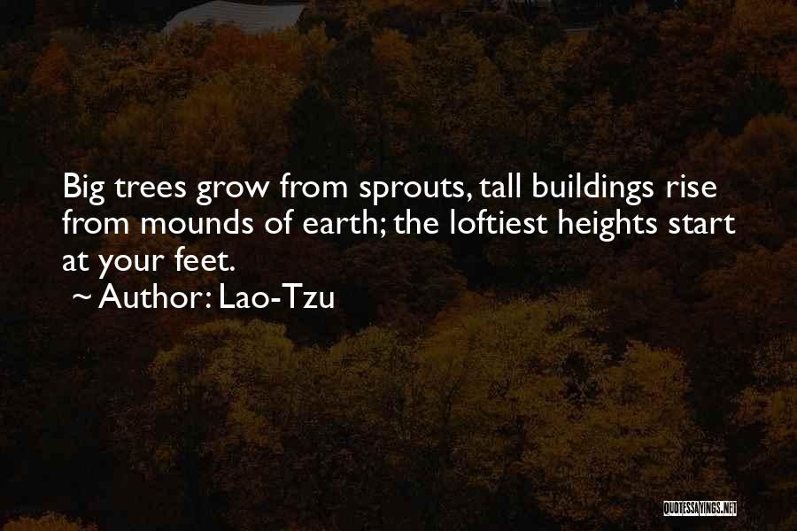 Lao-Tzu Quotes: Big Trees Grow From Sprouts, Tall Buildings Rise From Mounds Of Earth; The Loftiest Heights Start At Your Feet.