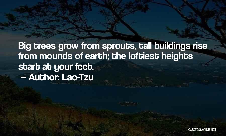 Lao-Tzu Quotes: Big Trees Grow From Sprouts, Tall Buildings Rise From Mounds Of Earth; The Loftiest Heights Start At Your Feet.