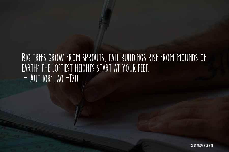 Lao-Tzu Quotes: Big Trees Grow From Sprouts, Tall Buildings Rise From Mounds Of Earth; The Loftiest Heights Start At Your Feet.