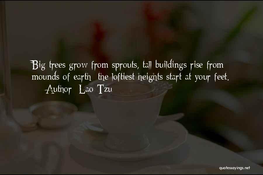 Lao-Tzu Quotes: Big Trees Grow From Sprouts, Tall Buildings Rise From Mounds Of Earth; The Loftiest Heights Start At Your Feet.