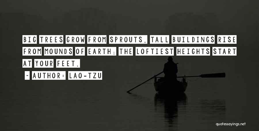 Lao-Tzu Quotes: Big Trees Grow From Sprouts, Tall Buildings Rise From Mounds Of Earth; The Loftiest Heights Start At Your Feet.