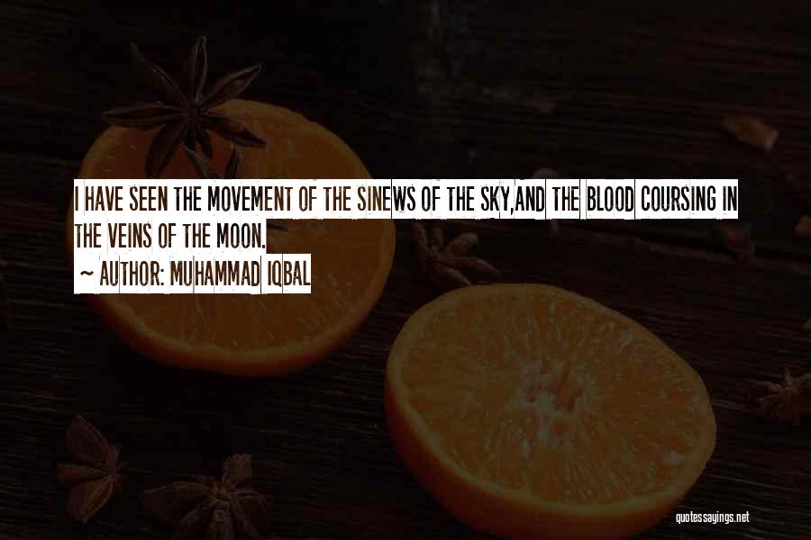 Muhammad Iqbal Quotes: I Have Seen The Movement Of The Sinews Of The Sky,and The Blood Coursing In The Veins Of The Moon.