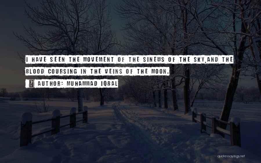 Muhammad Iqbal Quotes: I Have Seen The Movement Of The Sinews Of The Sky,and The Blood Coursing In The Veins Of The Moon.
