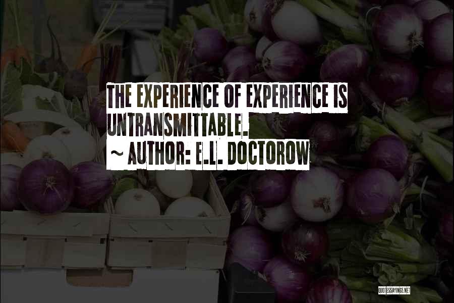 E.L. Doctorow Quotes: The Experience Of Experience Is Untransmittable.