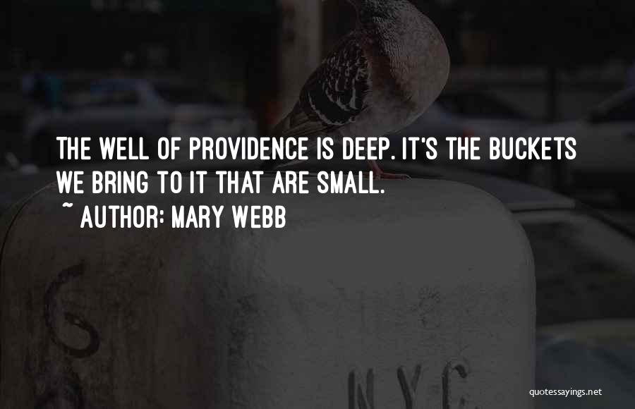 Mary Webb Quotes: The Well Of Providence Is Deep. It's The Buckets We Bring To It That Are Small.