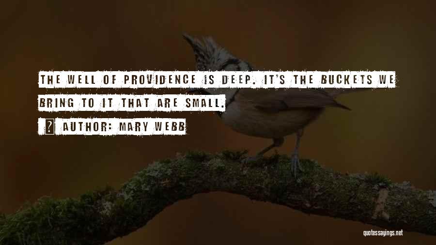 Mary Webb Quotes: The Well Of Providence Is Deep. It's The Buckets We Bring To It That Are Small.