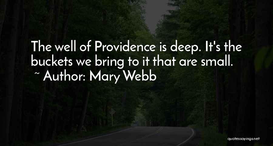 Mary Webb Quotes: The Well Of Providence Is Deep. It's The Buckets We Bring To It That Are Small.