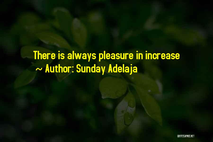 Sunday Adelaja Quotes: There Is Always Pleasure In Increase