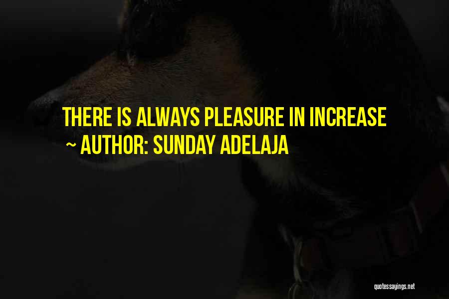 Sunday Adelaja Quotes: There Is Always Pleasure In Increase