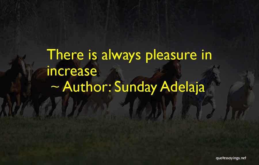 Sunday Adelaja Quotes: There Is Always Pleasure In Increase