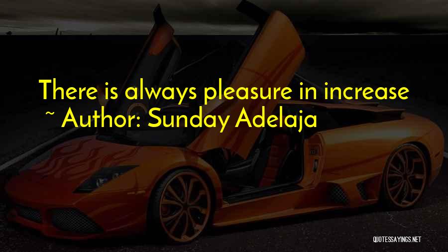 Sunday Adelaja Quotes: There Is Always Pleasure In Increase