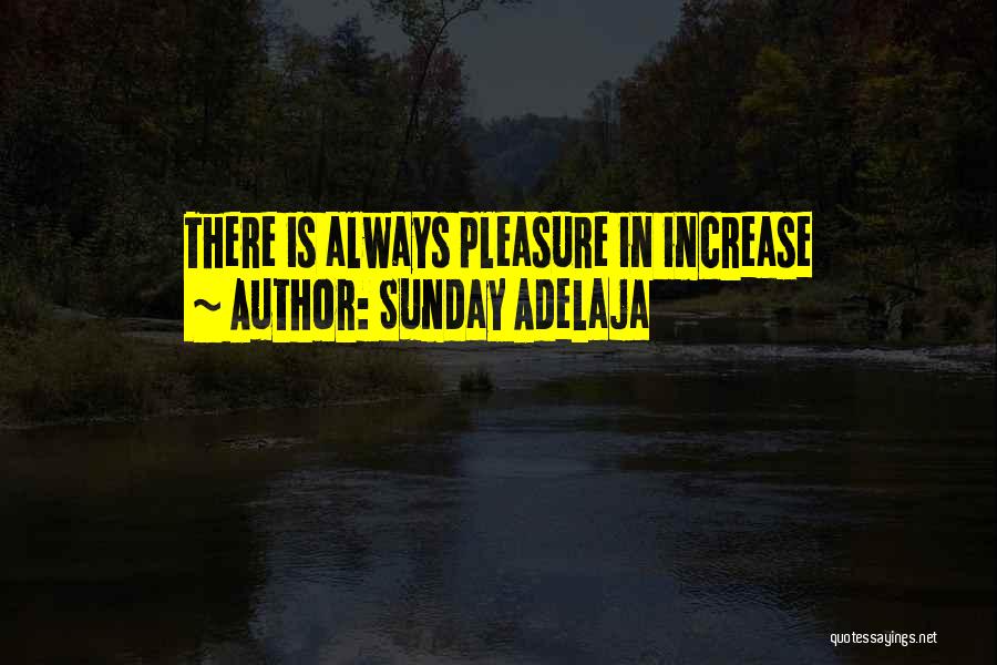 Sunday Adelaja Quotes: There Is Always Pleasure In Increase