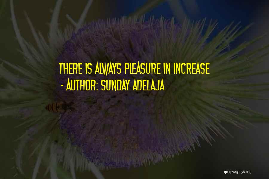 Sunday Adelaja Quotes: There Is Always Pleasure In Increase