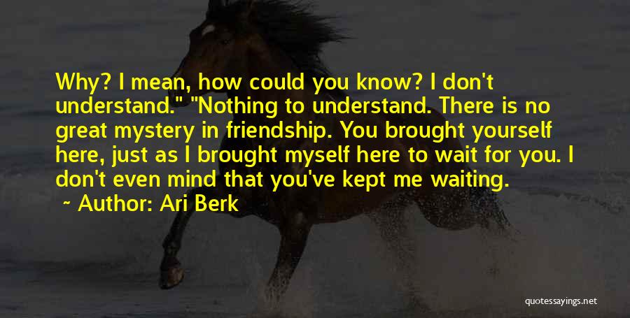 Ari Berk Quotes: Why? I Mean, How Could You Know? I Don't Understand. Nothing To Understand. There Is No Great Mystery In Friendship.