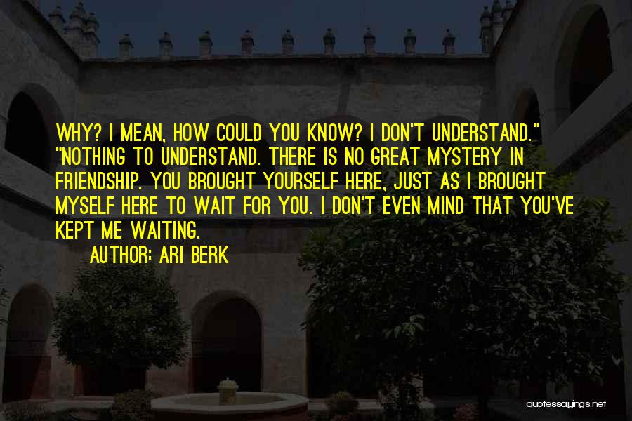 Ari Berk Quotes: Why? I Mean, How Could You Know? I Don't Understand. Nothing To Understand. There Is No Great Mystery In Friendship.