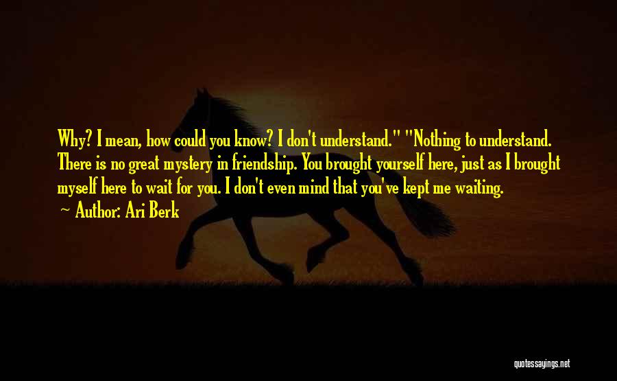 Ari Berk Quotes: Why? I Mean, How Could You Know? I Don't Understand. Nothing To Understand. There Is No Great Mystery In Friendship.