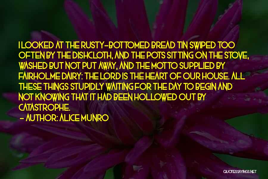 Alice Munro Quotes: I Looked At The Rusty-bottomed Bread Tin Swiped Too Often By The Dishcloth, And The Pots Sitting On The Stove,