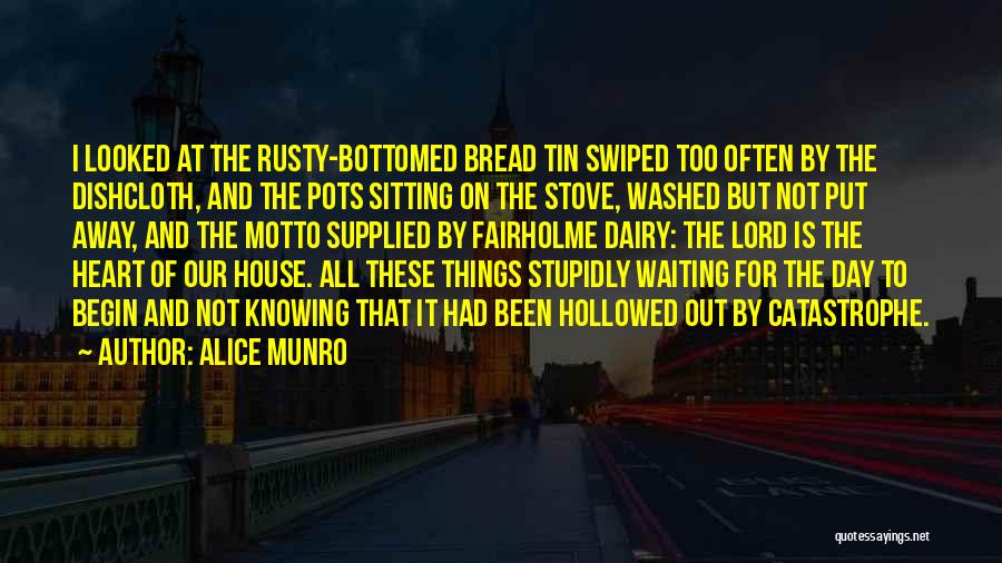 Alice Munro Quotes: I Looked At The Rusty-bottomed Bread Tin Swiped Too Often By The Dishcloth, And The Pots Sitting On The Stove,