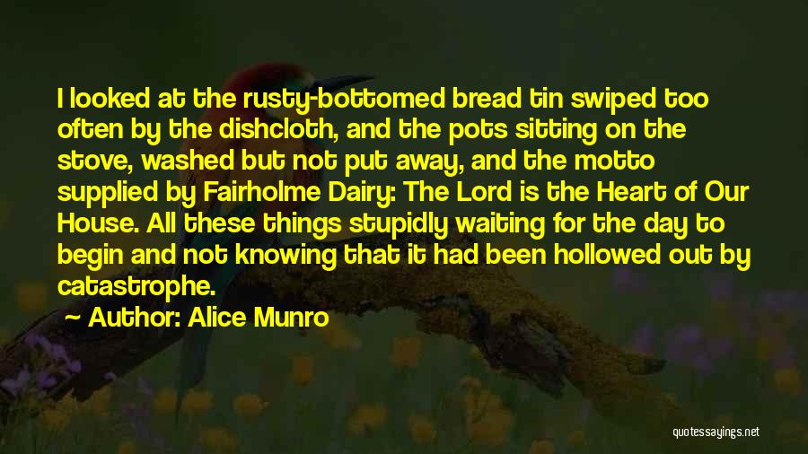 Alice Munro Quotes: I Looked At The Rusty-bottomed Bread Tin Swiped Too Often By The Dishcloth, And The Pots Sitting On The Stove,