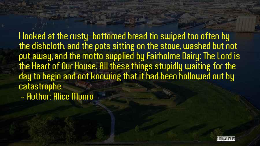 Alice Munro Quotes: I Looked At The Rusty-bottomed Bread Tin Swiped Too Often By The Dishcloth, And The Pots Sitting On The Stove,