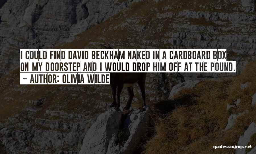 Olivia Wilde Quotes: I Could Find David Beckham Naked In A Cardboard Box On My Doorstep And I Would Drop Him Off At