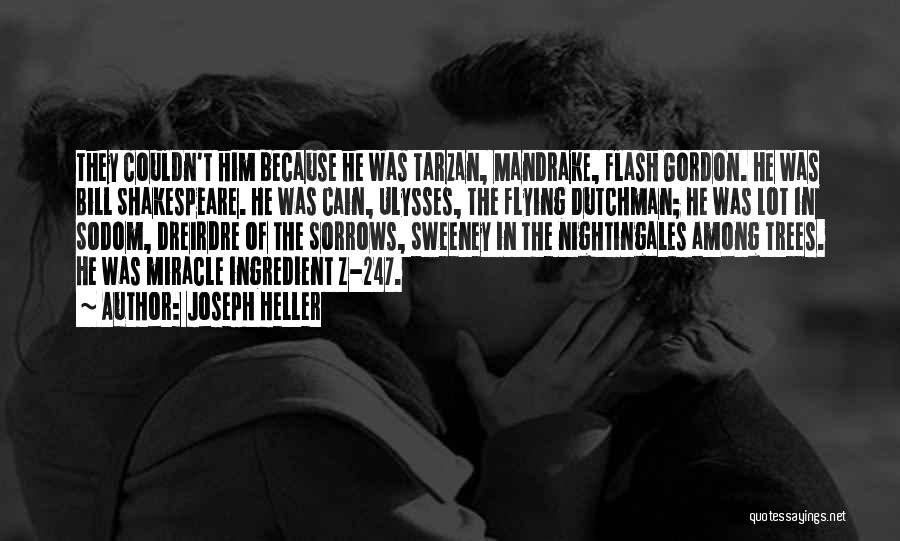 Joseph Heller Quotes: They Couldn't Him Because He Was Tarzan, Mandrake, Flash Gordon. He Was Bill Shakespeare. He Was Cain, Ulysses, The Flying
