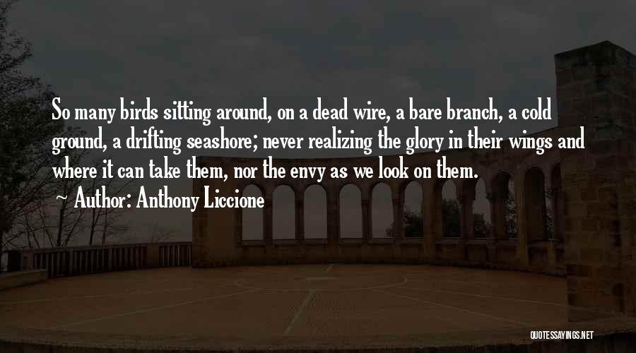 Anthony Liccione Quotes: So Many Birds Sitting Around, On A Dead Wire, A Bare Branch, A Cold Ground, A Drifting Seashore; Never Realizing