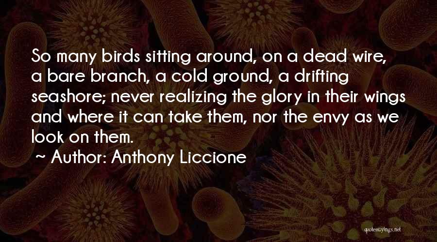 Anthony Liccione Quotes: So Many Birds Sitting Around, On A Dead Wire, A Bare Branch, A Cold Ground, A Drifting Seashore; Never Realizing