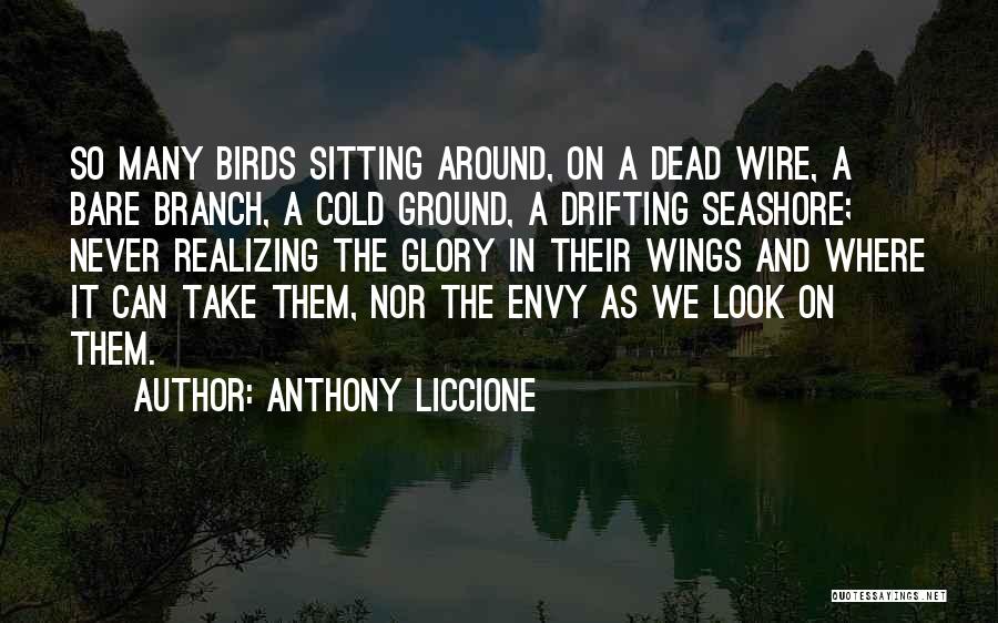 Anthony Liccione Quotes: So Many Birds Sitting Around, On A Dead Wire, A Bare Branch, A Cold Ground, A Drifting Seashore; Never Realizing