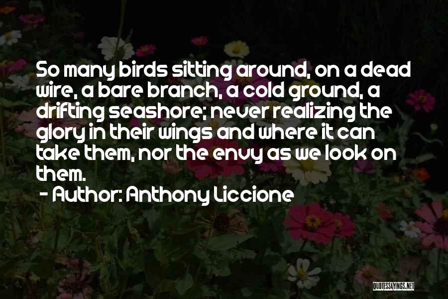 Anthony Liccione Quotes: So Many Birds Sitting Around, On A Dead Wire, A Bare Branch, A Cold Ground, A Drifting Seashore; Never Realizing