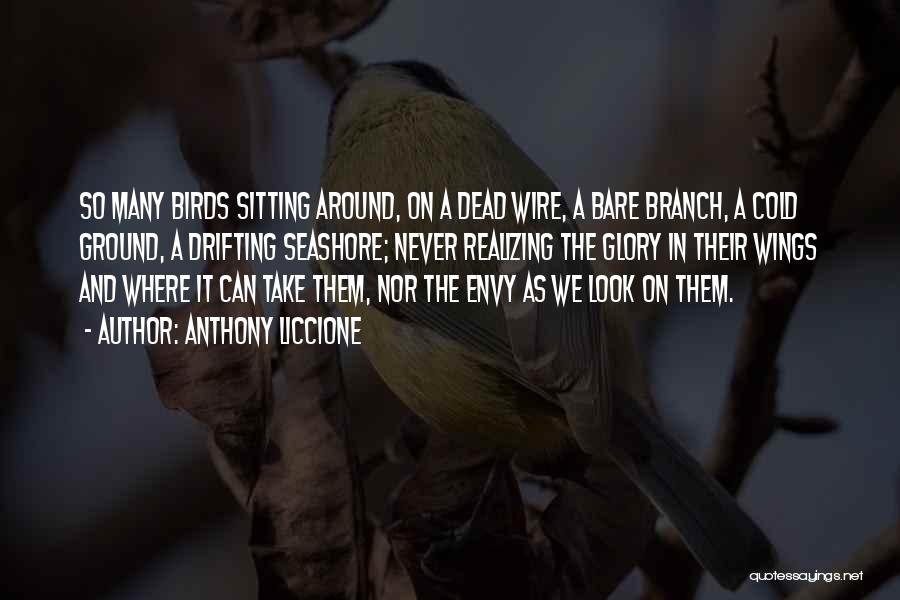 Anthony Liccione Quotes: So Many Birds Sitting Around, On A Dead Wire, A Bare Branch, A Cold Ground, A Drifting Seashore; Never Realizing