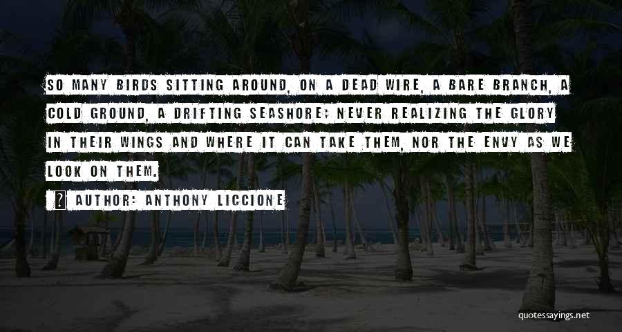 Anthony Liccione Quotes: So Many Birds Sitting Around, On A Dead Wire, A Bare Branch, A Cold Ground, A Drifting Seashore; Never Realizing