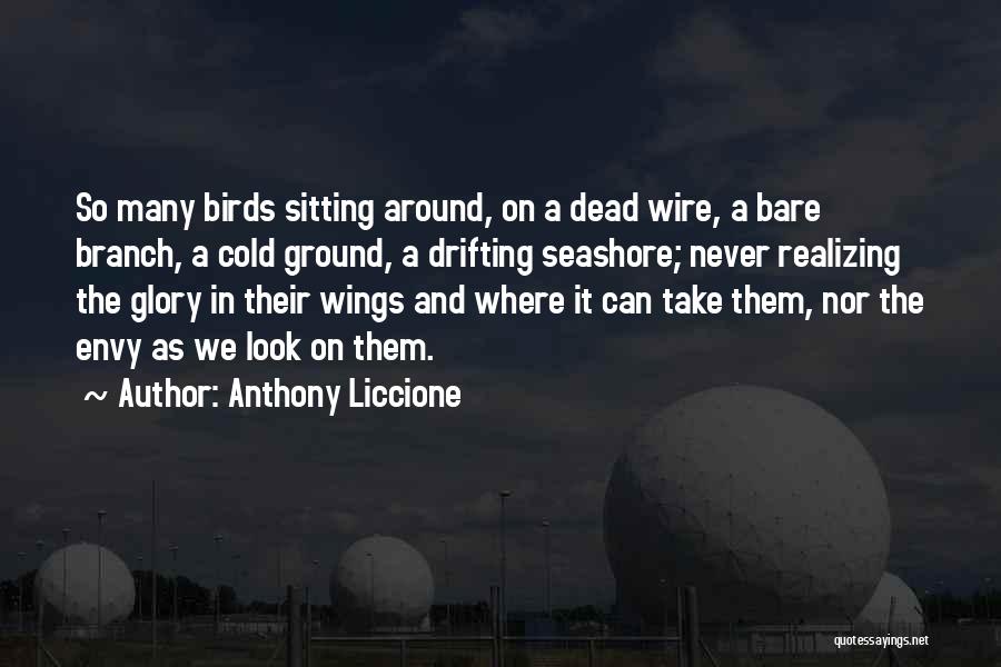 Anthony Liccione Quotes: So Many Birds Sitting Around, On A Dead Wire, A Bare Branch, A Cold Ground, A Drifting Seashore; Never Realizing