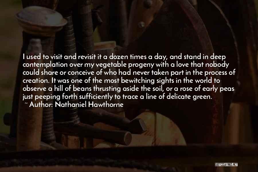 Nathaniel Hawthorne Quotes: I Used To Visit And Revisit It A Dozen Times A Day, And Stand In Deep Contemplation Over My Vegetable