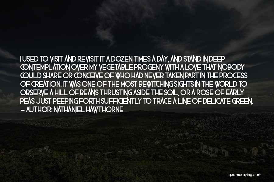 Nathaniel Hawthorne Quotes: I Used To Visit And Revisit It A Dozen Times A Day, And Stand In Deep Contemplation Over My Vegetable