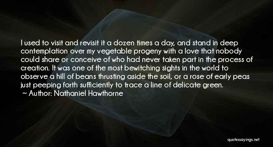 Nathaniel Hawthorne Quotes: I Used To Visit And Revisit It A Dozen Times A Day, And Stand In Deep Contemplation Over My Vegetable