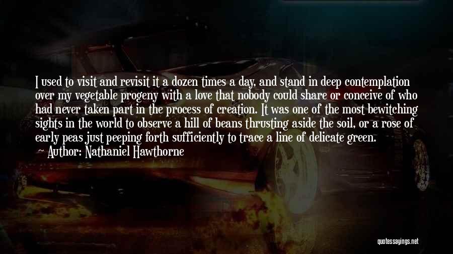 Nathaniel Hawthorne Quotes: I Used To Visit And Revisit It A Dozen Times A Day, And Stand In Deep Contemplation Over My Vegetable