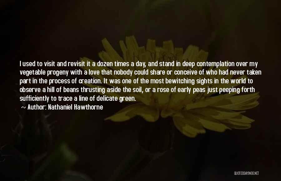 Nathaniel Hawthorne Quotes: I Used To Visit And Revisit It A Dozen Times A Day, And Stand In Deep Contemplation Over My Vegetable