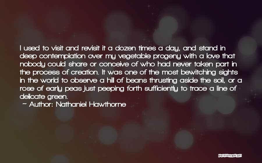 Nathaniel Hawthorne Quotes: I Used To Visit And Revisit It A Dozen Times A Day, And Stand In Deep Contemplation Over My Vegetable