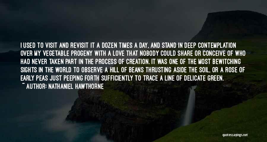 Nathaniel Hawthorne Quotes: I Used To Visit And Revisit It A Dozen Times A Day, And Stand In Deep Contemplation Over My Vegetable