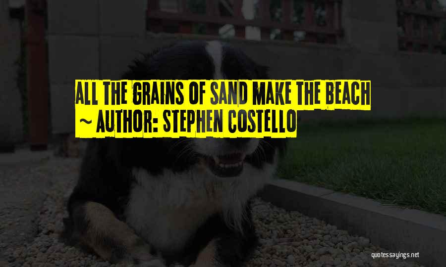 Stephen Costello Quotes: All The Grains Of Sand Make The Beach