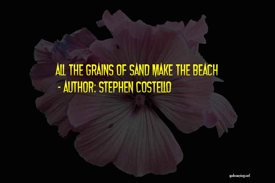 Stephen Costello Quotes: All The Grains Of Sand Make The Beach