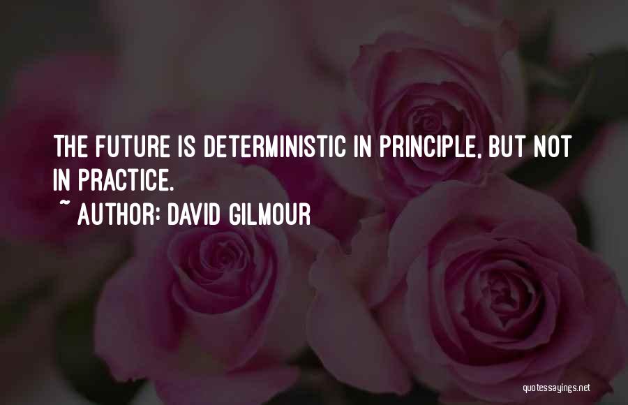 David Gilmour Quotes: The Future Is Deterministic In Principle, But Not In Practice.