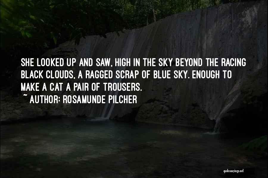 Rosamunde Pilcher Quotes: She Looked Up And Saw, High In The Sky Beyond The Racing Black Clouds, A Ragged Scrap Of Blue Sky.