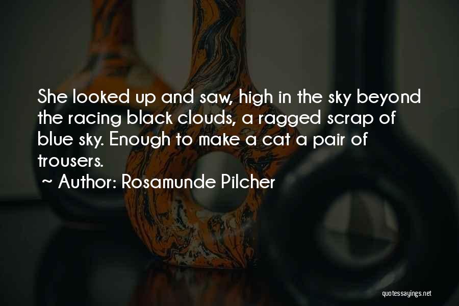 Rosamunde Pilcher Quotes: She Looked Up And Saw, High In The Sky Beyond The Racing Black Clouds, A Ragged Scrap Of Blue Sky.